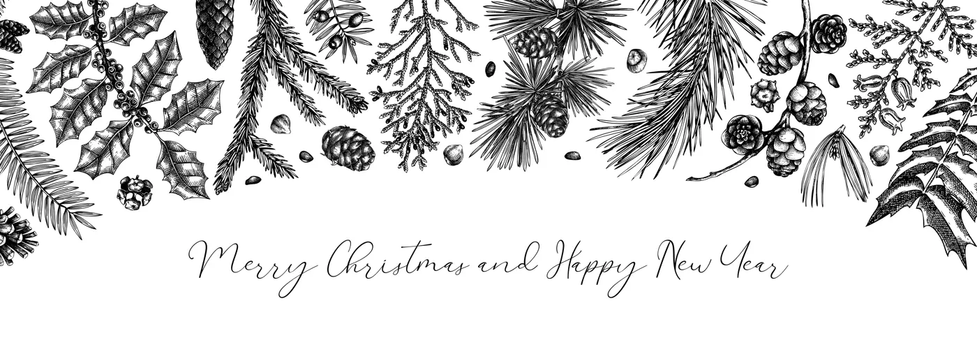 Merry Christmas background. Vintage winter trees, evergreen plants, conifers, and nuts sketches. Vector design with hand drawn botanical elements. Christmas card and New year invitation templates Illustration